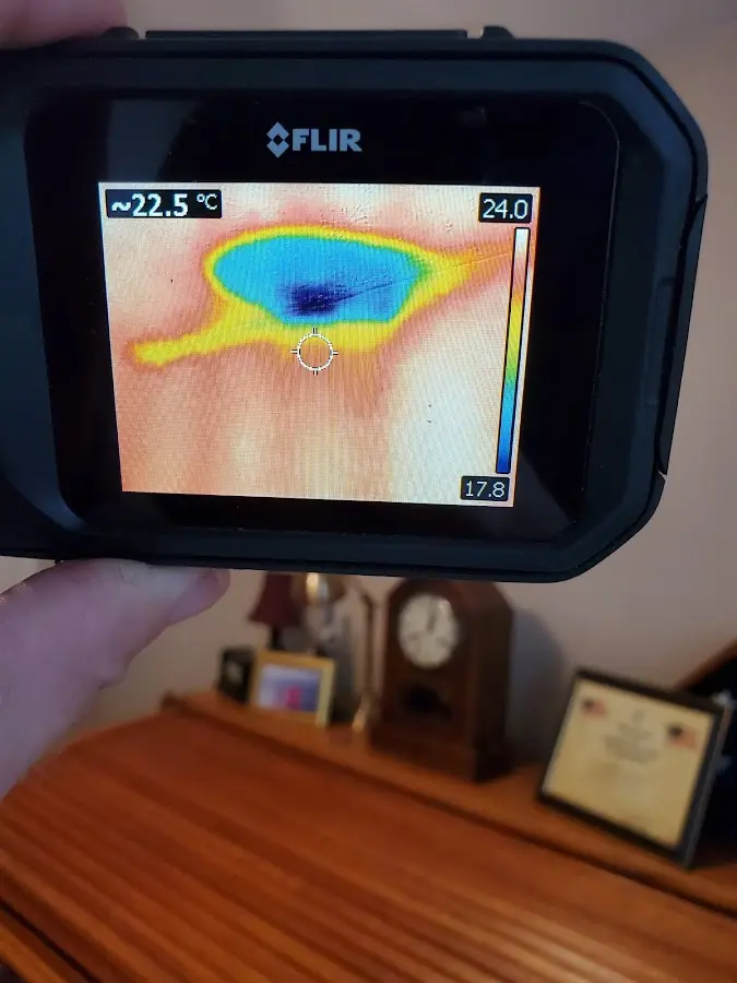 Thermal imaging inspection for water damage in Chehalis